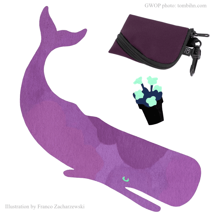 Tom Bihn Ghost Whale Organizer Pouch meets a Soon-to-Be Ghost Whale and a Pot of Petunias